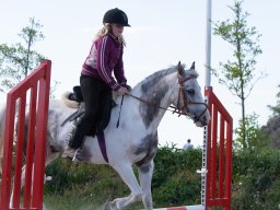 2009 Springundervisning